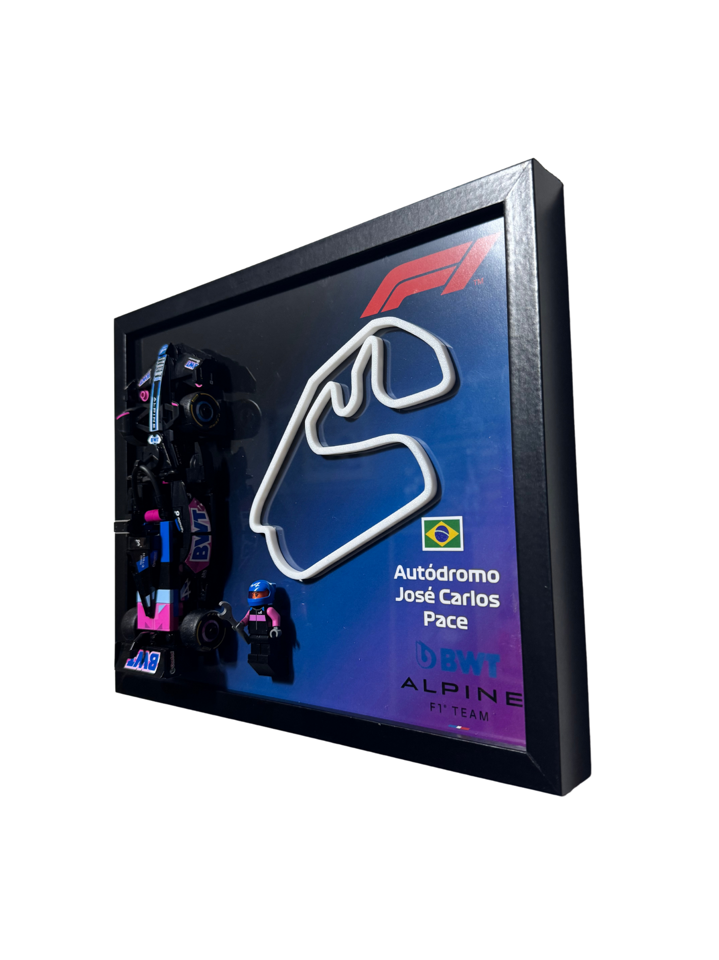 BWT Alpine Team A524 Frame