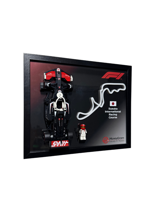 MoneyGram Haas Team VF-24 frame