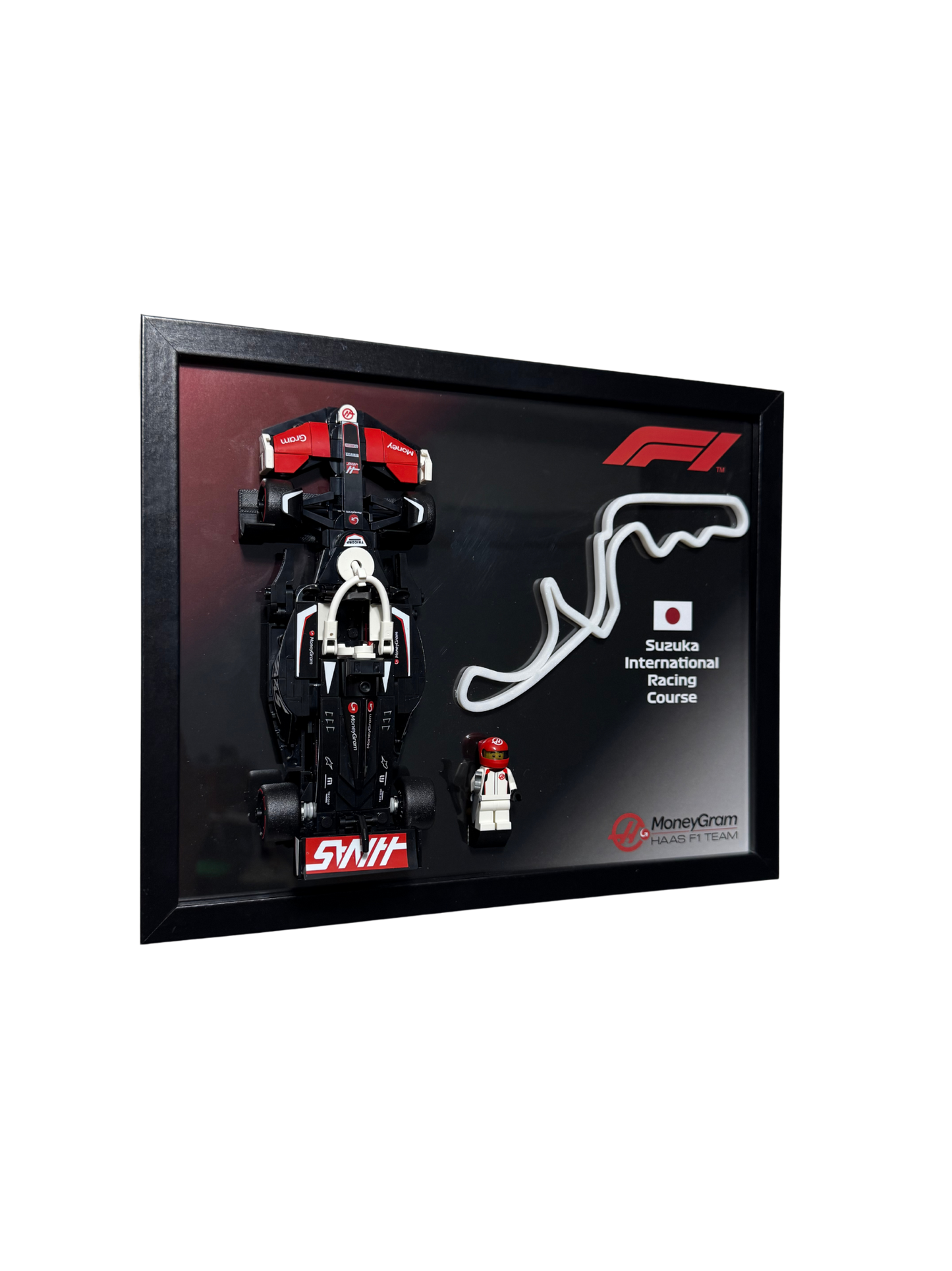 MoneyGram Haas Team VF-24 frame